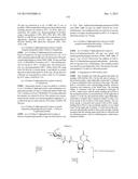 GLYCOPEGYLATION METHODS AND PROTEINS/PEPTIDES PRODUCED BY THE METHODS diagram and image