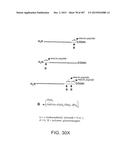 GLYCOPEGYLATION METHODS AND PROTEINS/PEPTIDES PRODUCED BY THE METHODS diagram and image