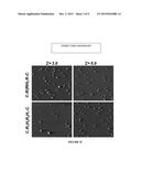 NANOCOMPLEX CONTAINING CATIONIC PEPTIDE FOR BIOMOLECULE DELIVERY diagram and image