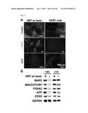 INTRACELLULAR DELIVERY SYSTEM AND METHODS diagram and image