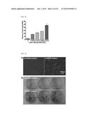 INTRACELLULAR DELIVERY SYSTEM AND METHODS diagram and image