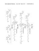 NANOPARTICLE DRUG CONJUGATES diagram and image