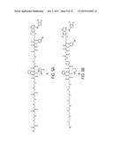 NANOPARTICLE DRUG CONJUGATES diagram and image