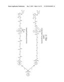 NANOPARTICLE DRUG CONJUGATES diagram and image