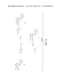 NANOPARTICLE DRUG CONJUGATES diagram and image