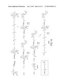 NANOPARTICLE DRUG CONJUGATES diagram and image