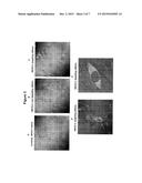 TARGETED GENE DELIVERY TO NON-PHAGOCYTIC MAMMALIAN CELLS VIA BACTERIALLY     DERIVED INTACT MINICELLS diagram and image
