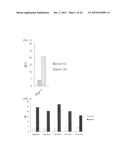 Cell Penetrating Peptide, Conjugate Comprising Same, and Composition     Comprising Conjugate diagram and image