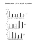 Cell Penetrating Peptide, Conjugate Comprising Same, and Composition     Comprising Conjugate diagram and image