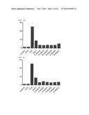 Cell Penetrating Peptide, Conjugate Comprising Same, and Composition     Comprising Conjugate diagram and image