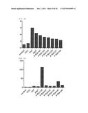 Cell Penetrating Peptide, Conjugate Comprising Same, and Composition     Comprising Conjugate diagram and image