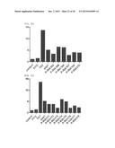 Cell Penetrating Peptide, Conjugate Comprising Same, and Composition     Comprising Conjugate diagram and image