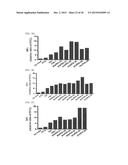 Cell Penetrating Peptide, Conjugate Comprising Same, and Composition     Comprising Conjugate diagram and image