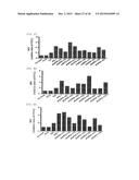 Cell Penetrating Peptide, Conjugate Comprising Same, and Composition     Comprising Conjugate diagram and image