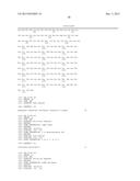 Cell Penetrating Peptide, Conjugate Comprising Same, and Composition     Comprising Conjugate diagram and image