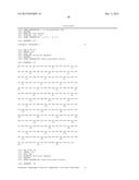 Cell Penetrating Peptide, Conjugate Comprising Same, and Composition     Comprising Conjugate diagram and image