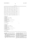 Cell Penetrating Peptide, Conjugate Comprising Same, and Composition     Comprising Conjugate diagram and image