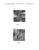 MEMBRANE COMPRISING SELF-ASSEMBLED BLOCK COPOLYMER AND PROCESS FOR     PRODUCING THE SAME BY SPRAY COATING (IIc) diagram and image