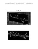 POROUS ALUMINUM BODY AND MANUFACTURING METHOD THEREFOR diagram and image