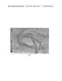 METHOD FOR IMPROVING CROSSWIND STABILITY OF A PROPELLER DUCT AND A     CORRESPONDING APPARATUS, SYSTEM AND COMPUTER READABLE MEDIUM diagram and image