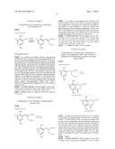 PDK4 INHIBITOR AND USE THEREOF diagram and image