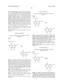 PDK4 INHIBITOR AND USE THEREOF diagram and image