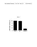 INHIBITORS OF THE USP1/UAF1 DEUBIQUITINASE COMPLEX AND USES THEREOF diagram and image