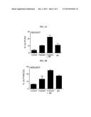 INHIBITORS OF THE USP1/UAF1 DEUBIQUITINASE COMPLEX AND USES THEREOF diagram and image