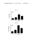 INHIBITORS OF THE USP1/UAF1 DEUBIQUITINASE COMPLEX AND USES THEREOF diagram and image