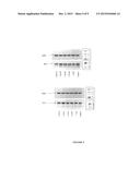 N-SUBSTITUTED 3,4-BIS (CATECHOL) PYRROLE COMPOUNDS, AND THE PREPARATION     AND USE THEREOF IN THE TREATMENT OF CANCER diagram and image