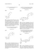 KINASE INHIBITORS diagram and image