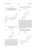 KINASE INHIBITORS diagram and image