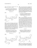 KINASE INHIBITORS diagram and image