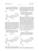 KINASE INHIBITORS diagram and image