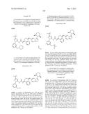 KINASE INHIBITORS diagram and image