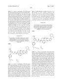 KINASE INHIBITORS diagram and image