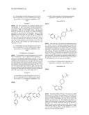 KINASE INHIBITORS diagram and image