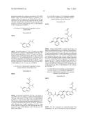 KINASE INHIBITORS diagram and image