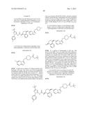 KINASE INHIBITORS diagram and image