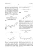 KINASE INHIBITORS diagram and image