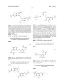 ARYL SULFIDE DERIVATIVES AND ARYL SULFOXIDE DERIVATIVES AS ACARICIDES AND     INSECTICIDES diagram and image