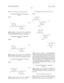 ARYL SULFIDE DERIVATIVES AND ARYL SULFOXIDE DERIVATIVES AS ACARICIDES AND     INSECTICIDES diagram and image