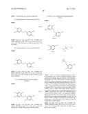 ARYL SULFIDE DERIVATIVES AND ARYL SULFOXIDE DERIVATIVES AS ACARICIDES AND     INSECTICIDES diagram and image