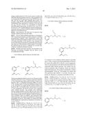 LABELLED NUCLEOTIDES diagram and image