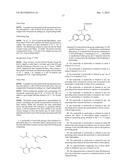 LABELLED NUCLEOTIDES diagram and image