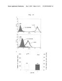 iPS/ES CELL-SPECIFIC ANTIBODY HAVING CYTOTOXICITY TO TARGET CELLS AND USE     THEREOF diagram and image