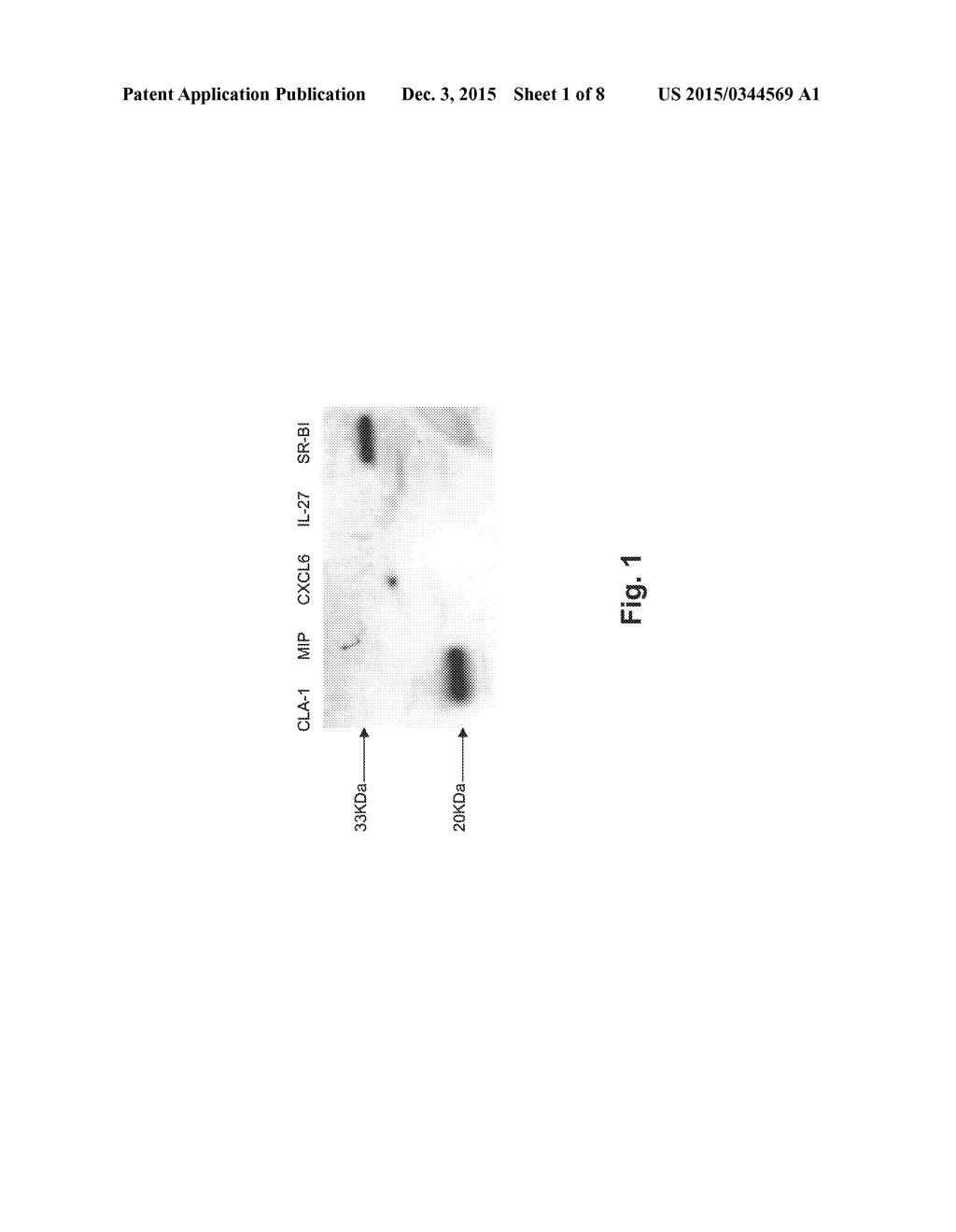 COMPOSITIONS AND METHODS FOR DIAGNOSING AND TREATING AN INFLAMMATION - diagram, schematic, and image 02