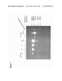 ANTIBODY TARGETING OSTEOCLAST-RELATED PROTEIN Siglec-15 diagram and image