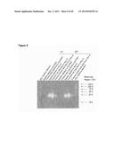 ANTIBODY TARGETING OSTEOCLAST-RELATED PROTEIN Siglec-15 diagram and image