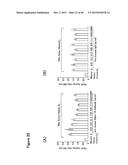 ANTIBODY TARGETING OSTEOCLAST-RELATED PROTEIN Siglec-15 diagram and image